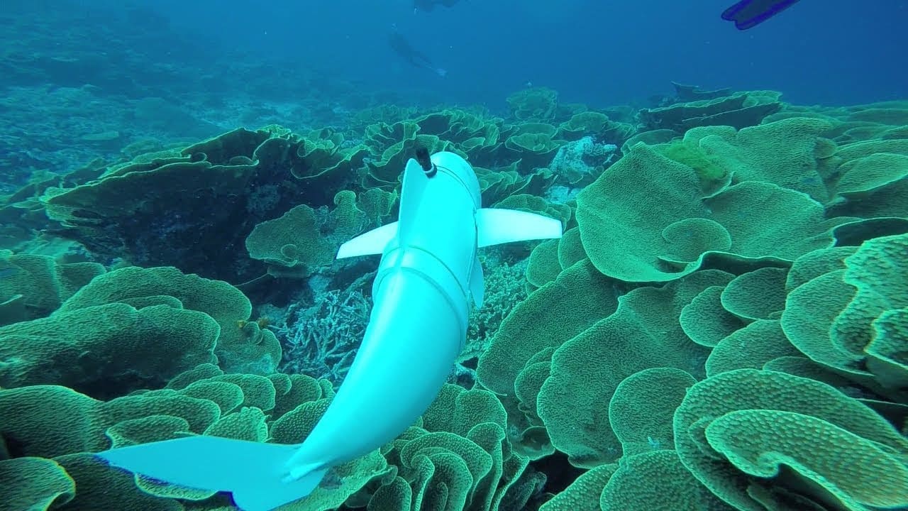 SoFi o Peixe Robótico nos Leva a Uma Descoberta Através dos Oceanos