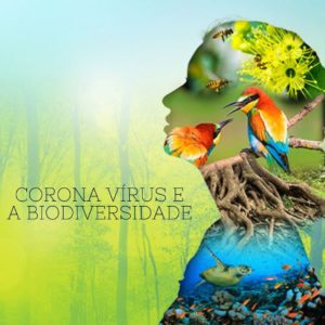 Coronavírus e a Biodiversidade